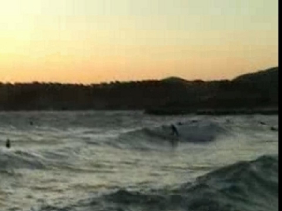 Surf