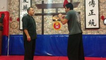 Ip Man Wing-Chun Turkey - Forward Energy Flow