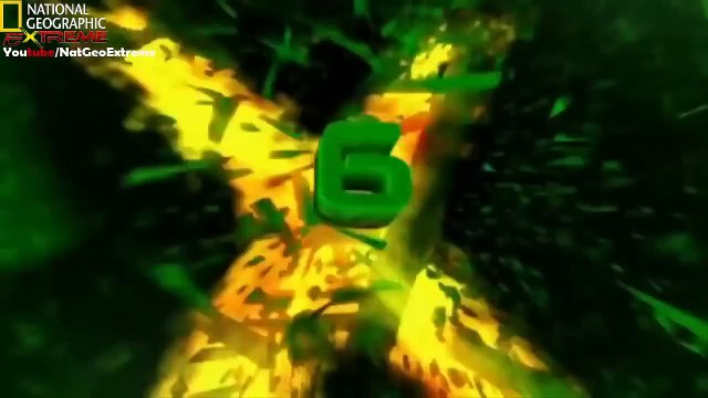 The Most Extreme Speed - National Geographic, Nat Geo Wild HD, Animals Documentary