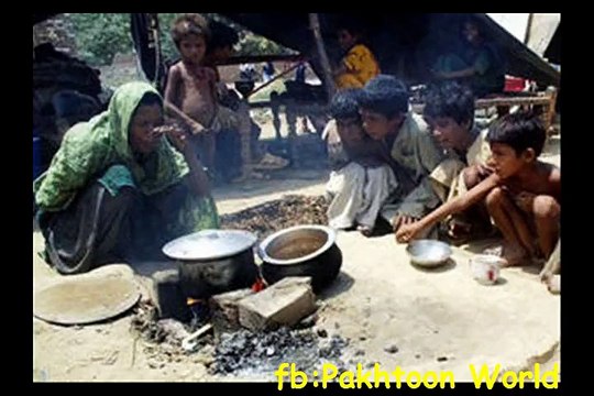 پشتو نوې نظم د مور فریاد ټولو مینه والو ته ډالئ...