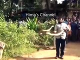 KILLER SNAKE ATTACK IN KERALA INDIA || KING COBRA SNAKE ATTACKS