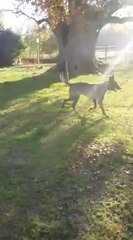 Le papa et la maman !