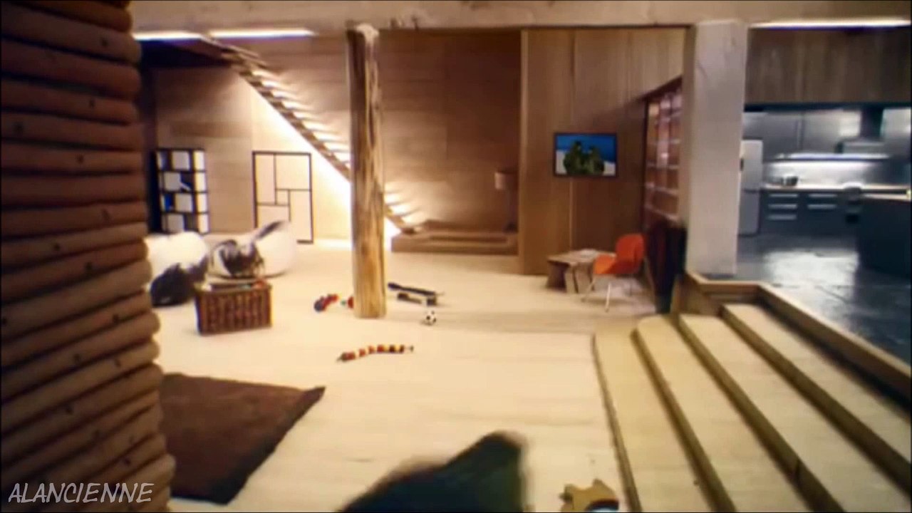 nichoir ou cabane grand luxe pour oiseaux