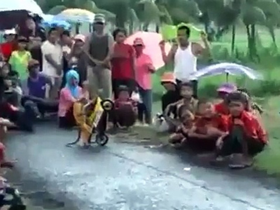 bike riding- monkey riding the bike-bike rider monkey