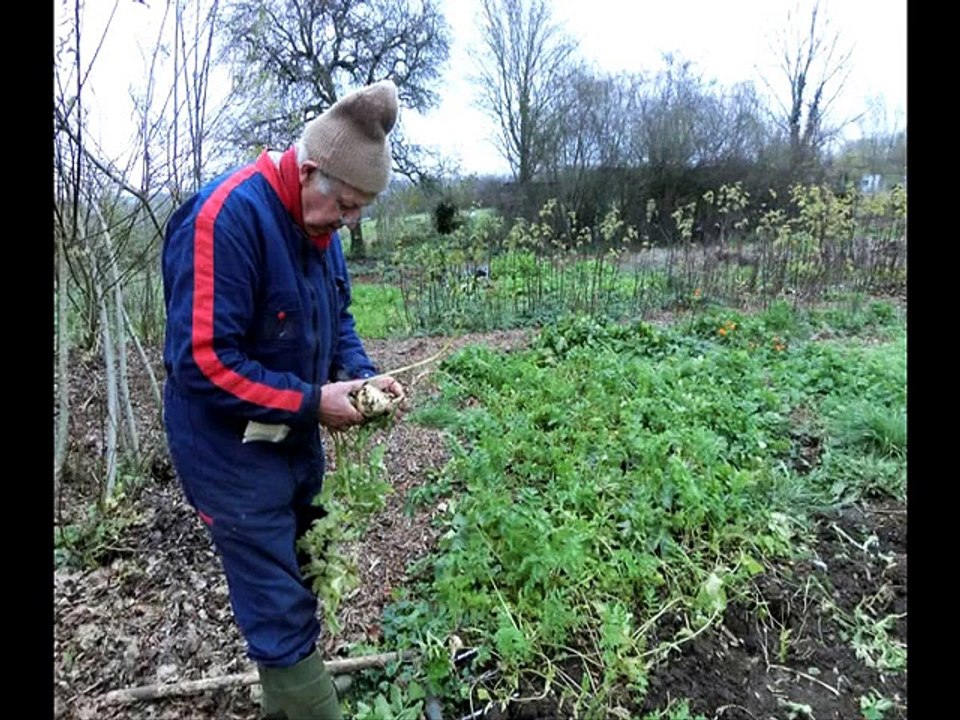 Promenade au jardin partagé de l'Alep, à Beauvais