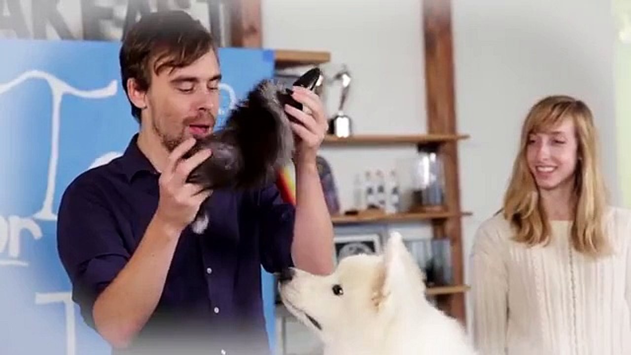 Dog Toy OR Sex Toy: THE INTERACTIVE GAME!