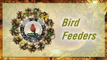 The Best Bird Watching Gifts For The Holiday Season