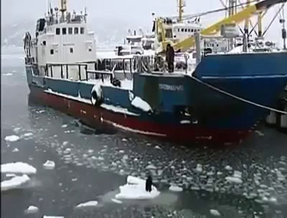 Rescuing dog from icy water