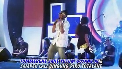 ARIF CITENX - CENUT-CENUT