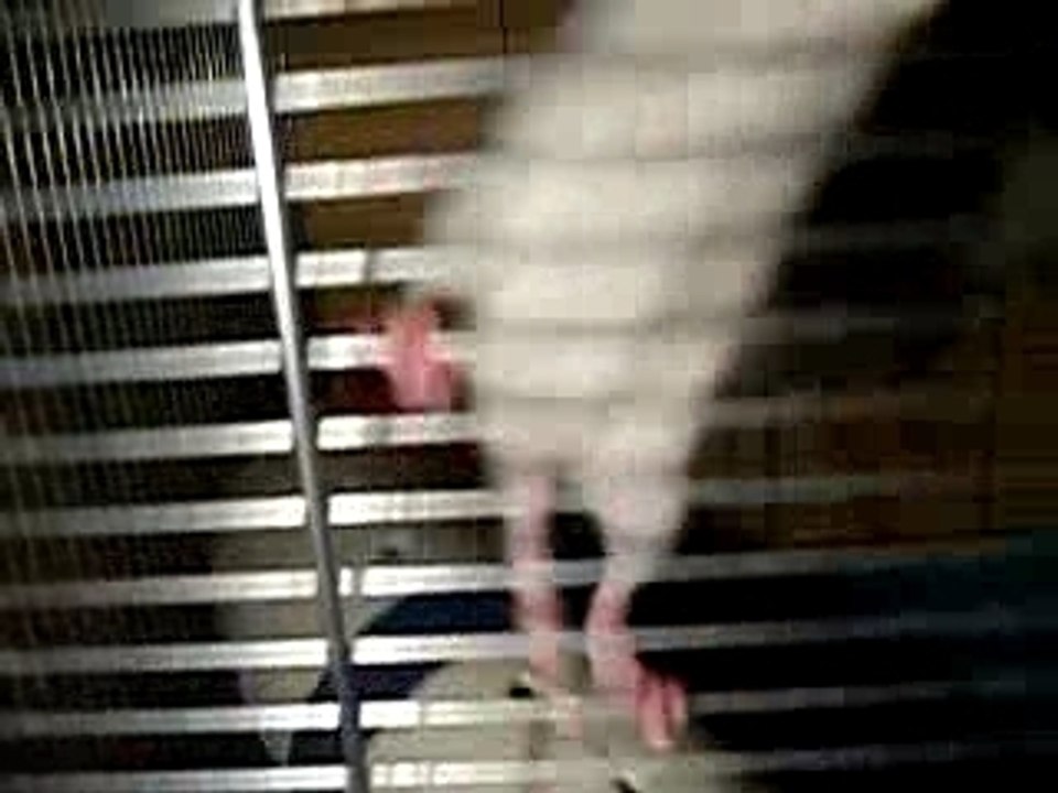 Biscotte la pile électrique