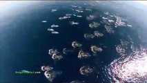 Sirenas Filmadas en el Océano Pacífico (Real)