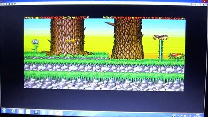 Enchanted Land sur Atari ST