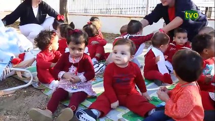 TVO-1167 (12 NOVIEMBRE 2015)