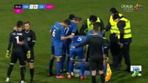 Alexandru Gudea (Farul goalkeeper) fight with a fan during Liga 2 Romania game vs Dunarea Calarasi