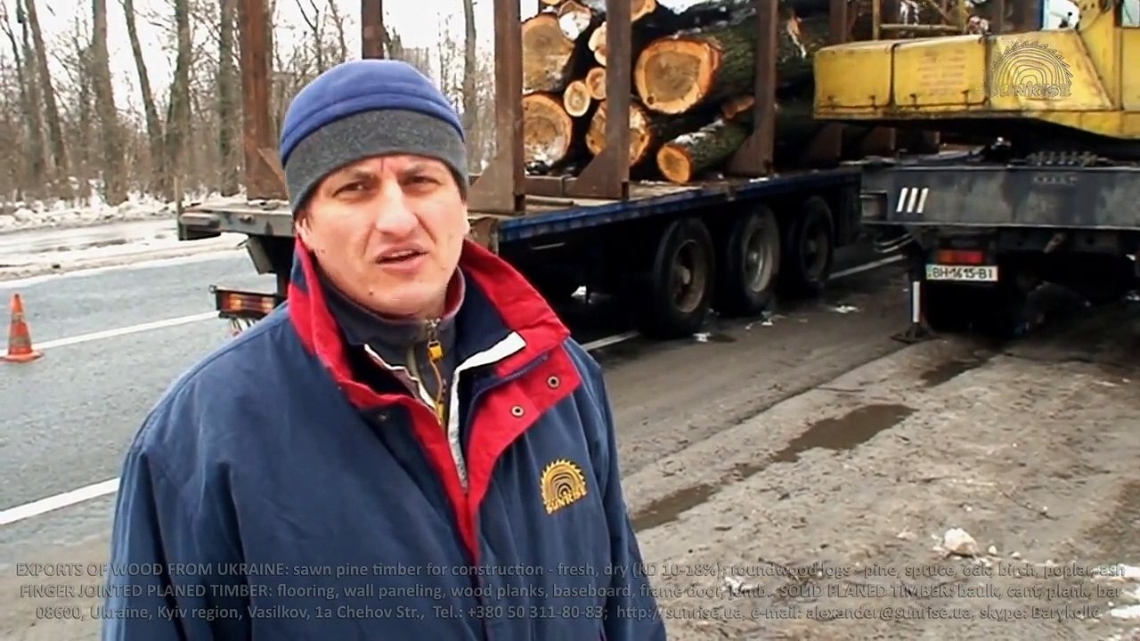 Processing logs of poplar & aspen Ukraine. Production sawn timber for pallet & fruit crate. Supplies to Middle East Asia