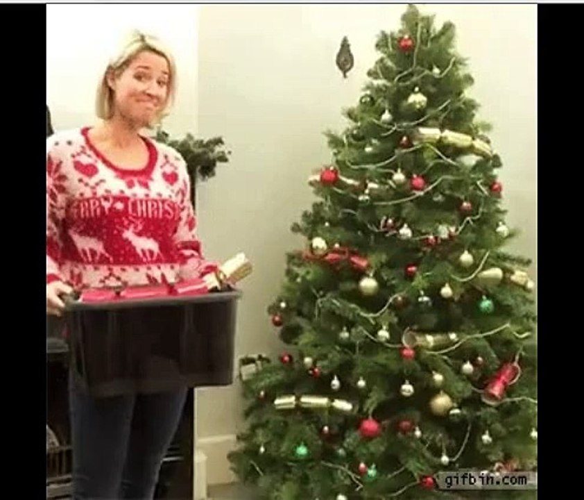 le sapin de noel