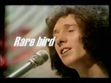 Rare Bird - Sympathy 1969