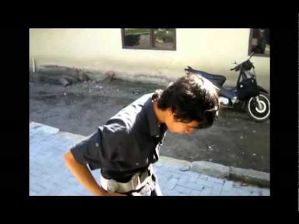 Henshin Ryuki