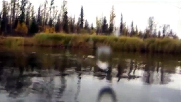 Рыбалка часть 8 Щука