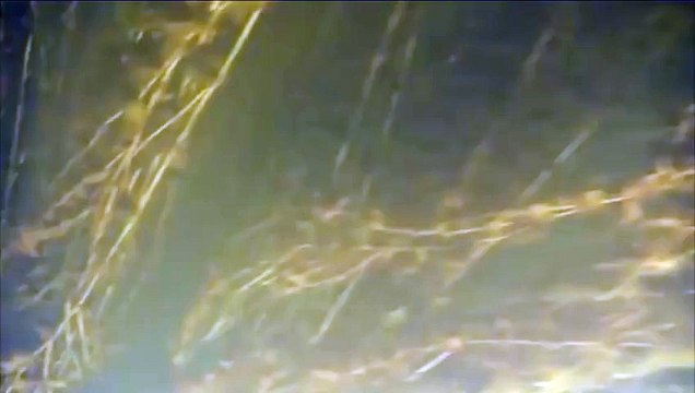 Рыбалка часть 13 Подводная съемка