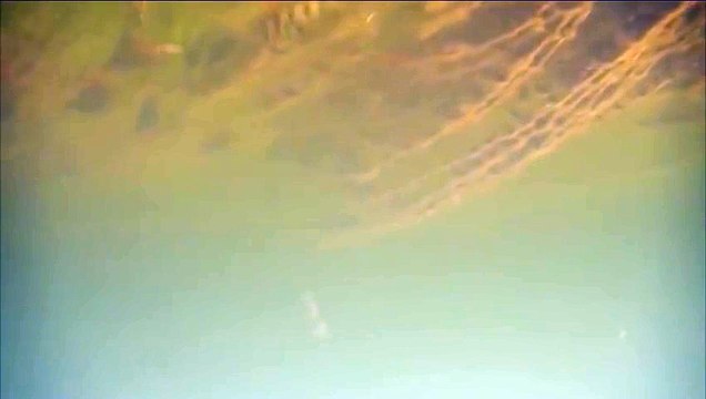 Рыбалка часть 17 Подводная съемка