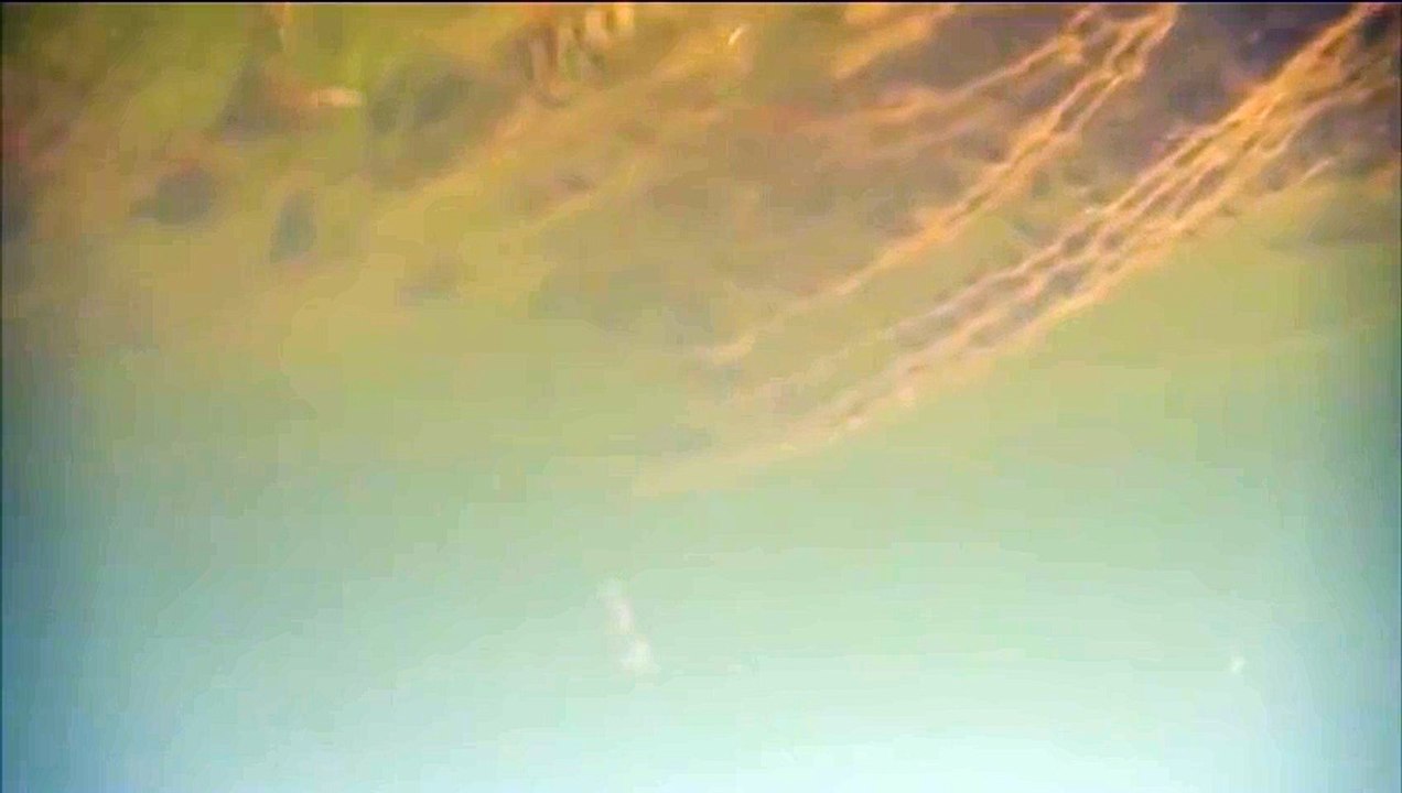 Рыбалка часть 17 Подводная съемка