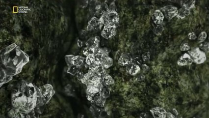 Dünyanın Merkezine Yolculuk Son Bölüm