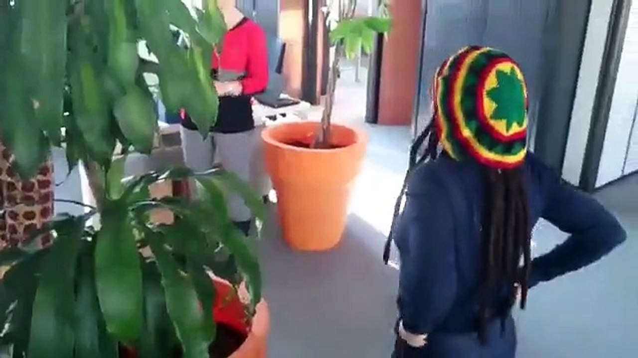 Les Dejantés de l'Anim' Co'