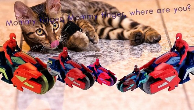 Spiderman Transformers Finger Family Cartoon Animation Nursery Rhymes Kid Car Batman Bike