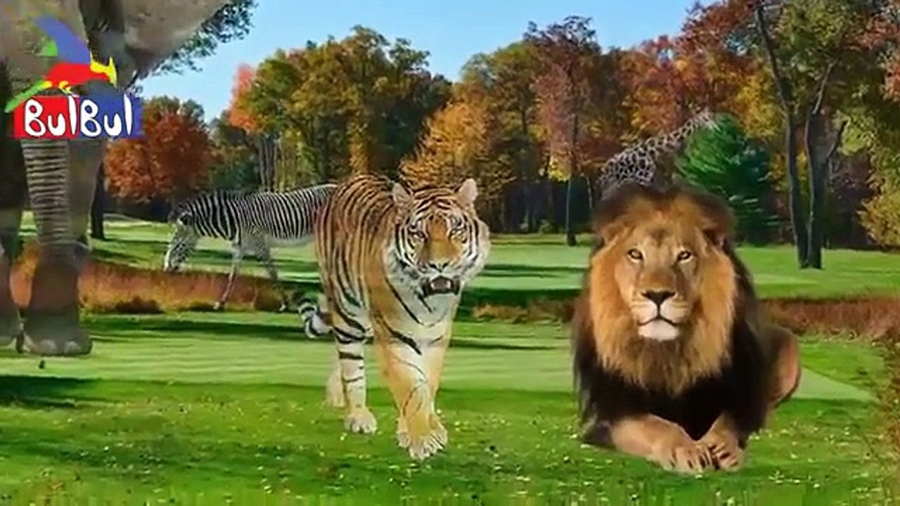 2D Finger Family Animation 304 _ Christmas Ice Cream-Christmas Upin & Ipin-Animal-Ninja Turtles