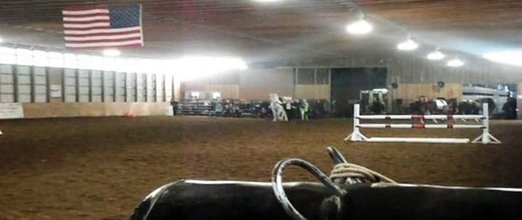 Dancing with Horses 2011