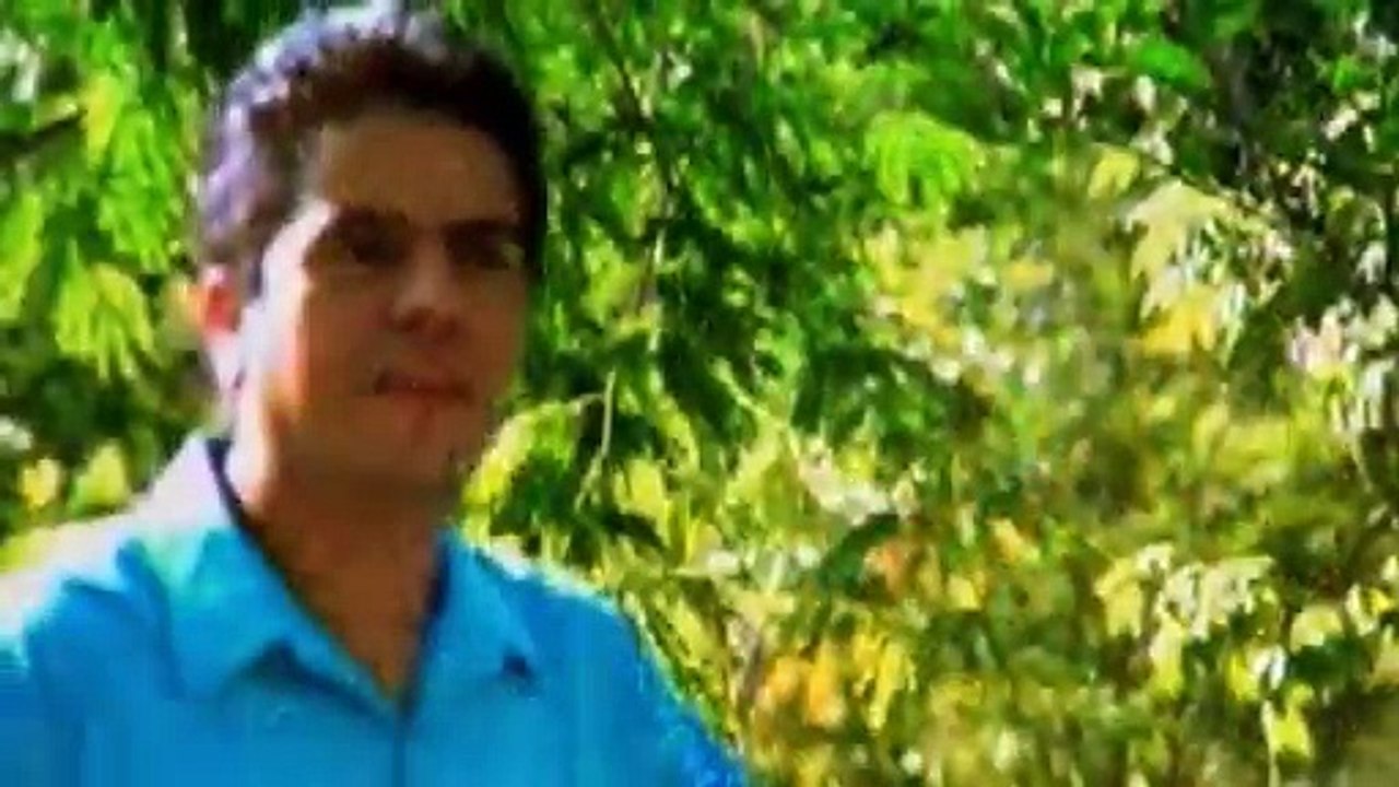 Los Ángeles Azules - Aunque No Estés Conmigo