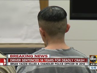 Driver sentenced to 14 years for officer death