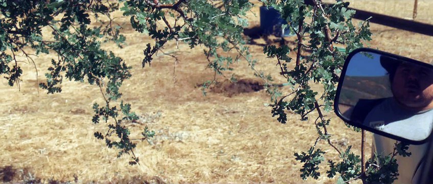 Dreaming Dont Make It So