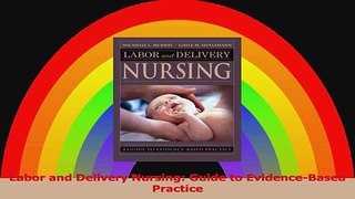 Labor and Delivery Nursing Guide to EvidenceBased Practice PDF