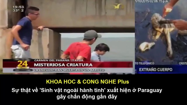 The truth about 'alien creature' appeared in recent shocking Paraguay