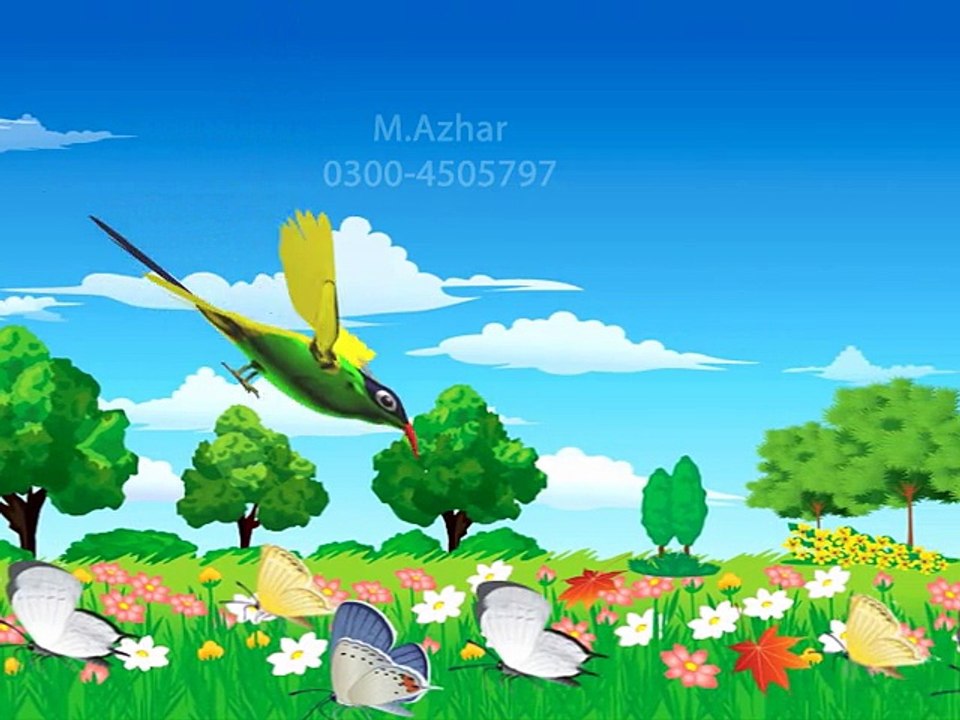 Final Bulbul