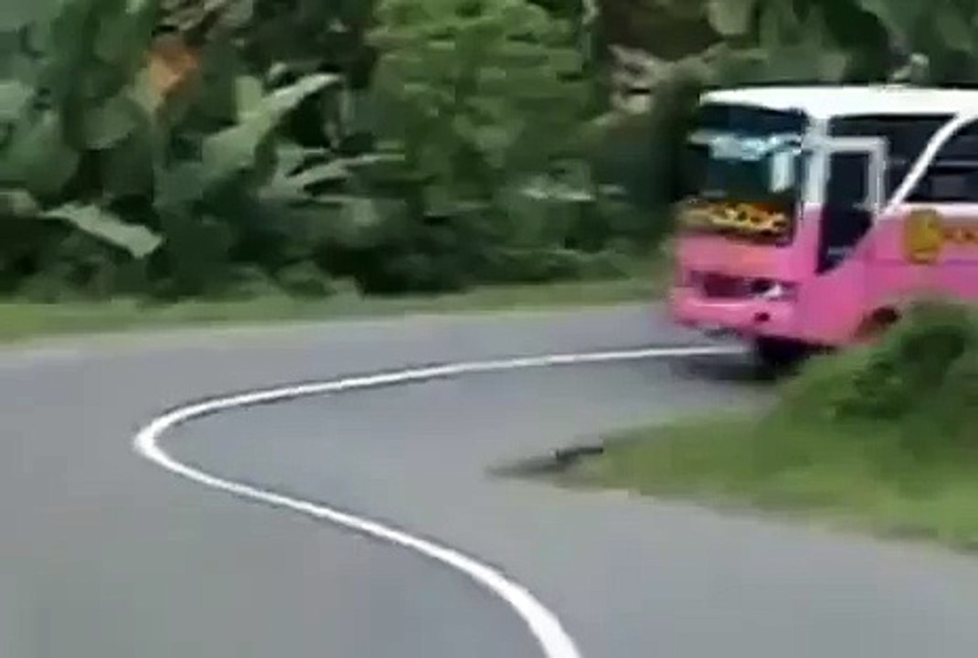 Accident in the road