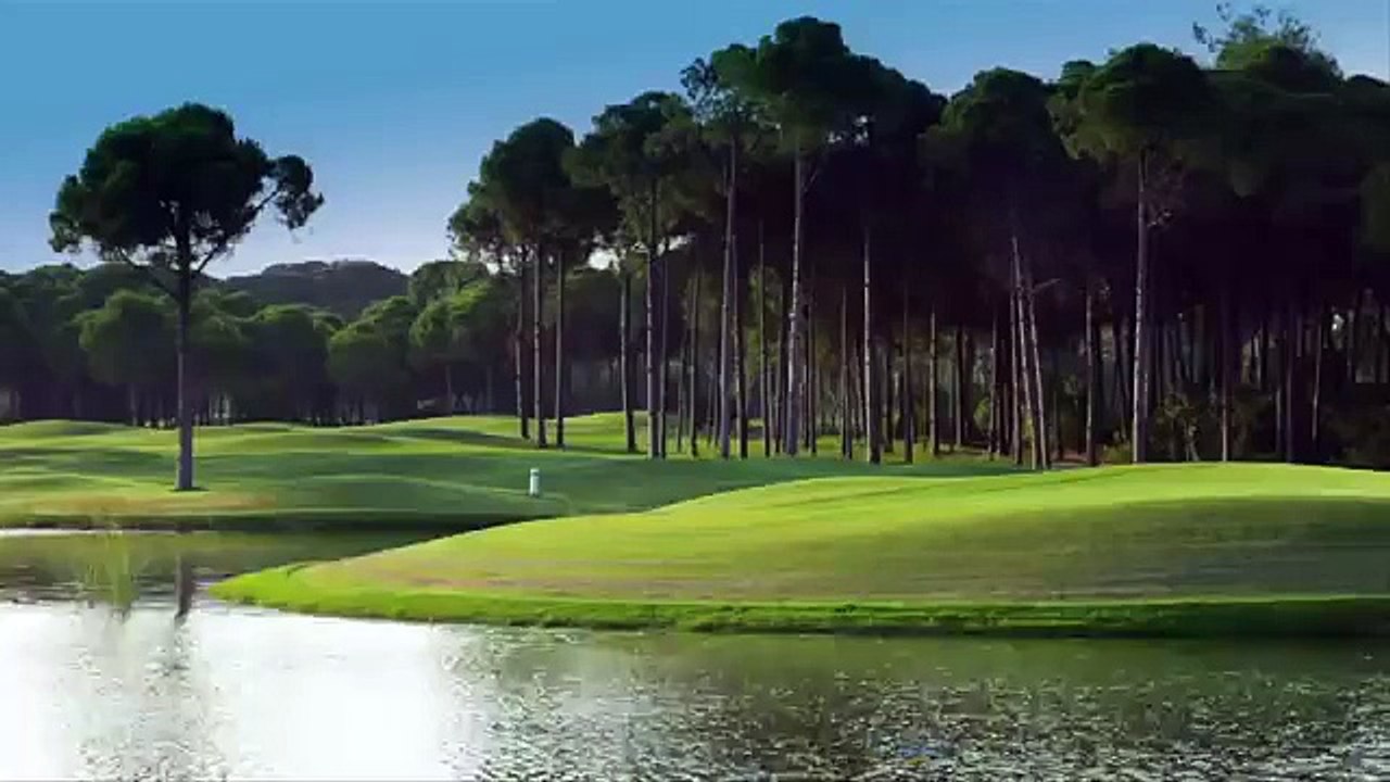 Residing In The Beverly Hills of Dubai