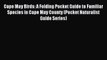 Cape May Birds: A Folding Pocket Guide to Familiar Species in Cape May County (Pocket Naturalist