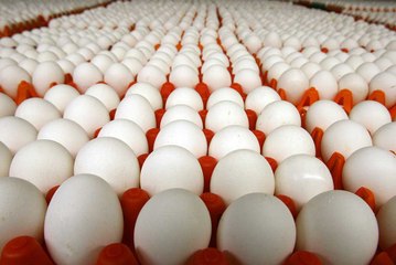 How It's Made Eggs
