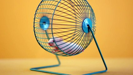 Berksan Hande Yener Haberi Var Mı 2015