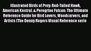 Illustrated Birds of Prey: Red-Tailed Hawk American Kestral & Peregrine Falcon: The Ultimate