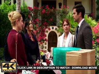 Download Merry Kissmas (2015) Full Movie