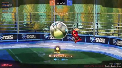 RL Aerial montage