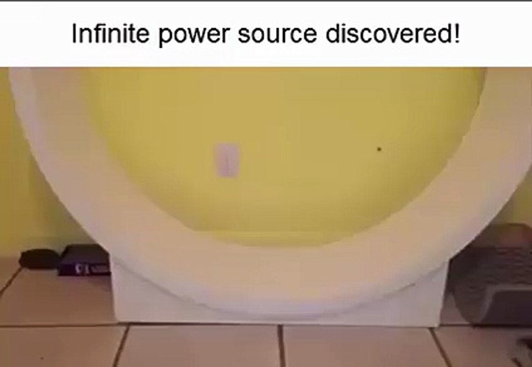 Une roue de hamster... Pour chat!