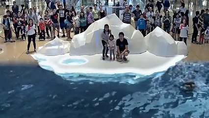 İnanılmaz 7D Teknolojisi izle