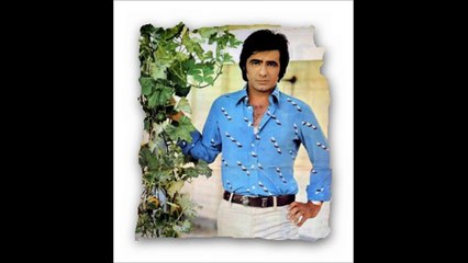 عارف .دور از یار و دیار