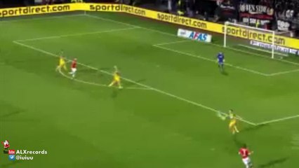 Cat makes appearance on the pitch during AZ Alkmaar vs ADO den Hag 2015