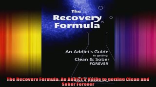 The Recovery Formula An Addicts Guide to getting Clean and Sober Forever